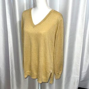 Long Sleeve V-Neck Sweater- 2X